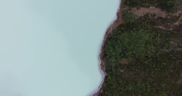 Flygfoto Över Glaciärvattensjön Och Skogen — Stockvideo