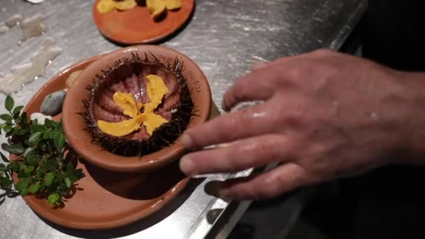 Klargøring Sea Urchin Parabol Præsentation Restaurant Køkken – Stock-video