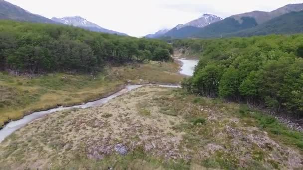 Luftaufnahme Eines Gletscherwasserflusses Der Durch Den Wald Und Das Torffeld — Stockvideo