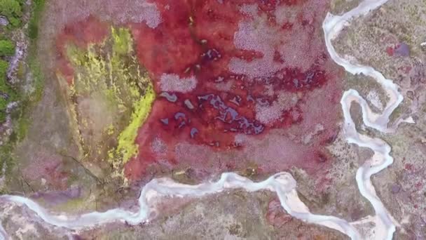 Luftaufnahme Eines Gletscherwassers Das Über Das Rote Torffeld Feuerland Patagonien — Stockvideo