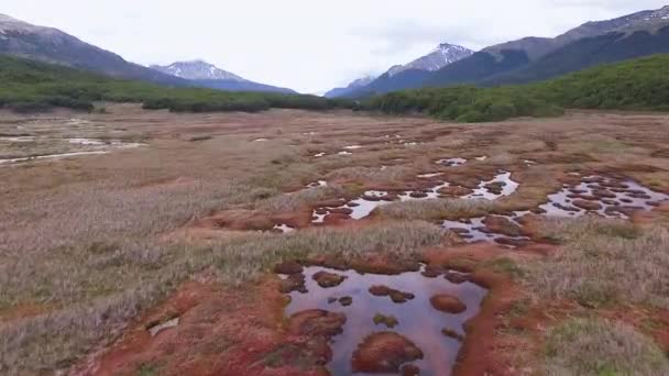 アンデス山脈 ウシュアイア フエゴ パタゴニア アルゼンチンの自然の泥炭畑とマシュの空想的な眺め — ストック動画
