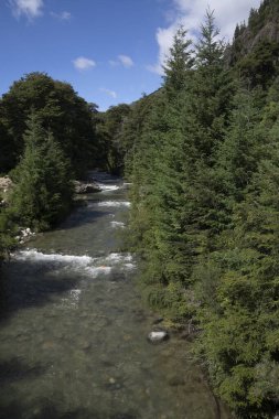 Piedra Nehri 'nin manzarası. Güneşli bir günde dağ ve çam ağaçları ormanı boyunca akıyor.. 