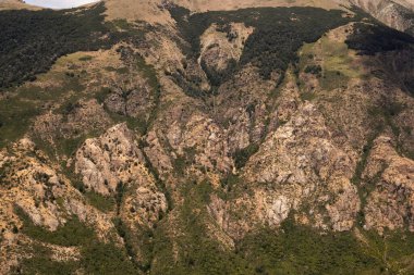 Bariloche, Patagonya, Arjantin 'deki dik dağ uçurumunun yakın görüntüsü. Güzel kaya ve orman dokusu ve deseni. 