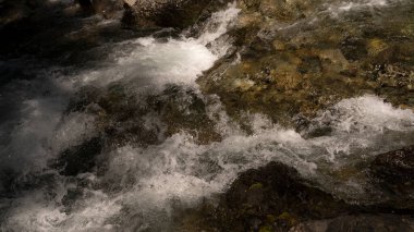 Akıntılar. Kayalık yataklı tatlı su akıntısının yakın görüntüsü..