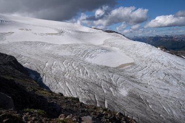 Alp manzarası. Patagonya 'daki Tronador tepesindeki Buzul Alerce manzarası. And Dağları 'ndaki beyaz buz tarlası.. 