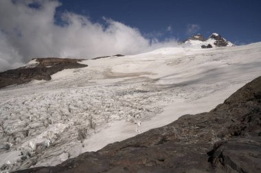 Alp manzarası. Pampa Linda, Patagonya 'daki Tronador Tepesi ve Castano Overo buz sahasının manzarası.