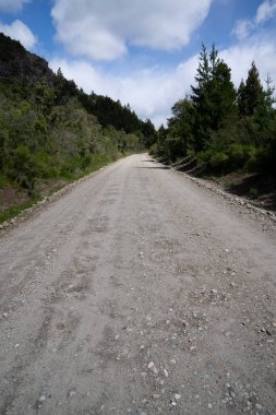 Seyahat ediyorum. Orman ve dağların karşısındaki boş kırsal yola bak..