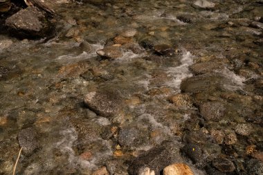 Akıntılar. Kayalık yataklı tatlı su akıntısının yakın görüntüsü..