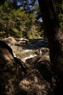 Akıntılar. Ormanın içinden akan nehrin güzel manzarası tepelerde. 