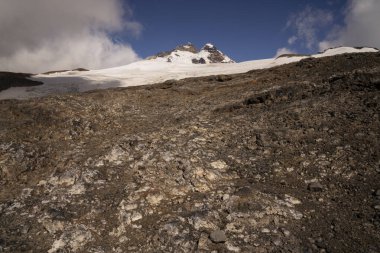 Alp manzarası. Pampa Linda, Patagonya 'daki Tronador Tepesi ve Castao Overo buz sahasının manzarası.