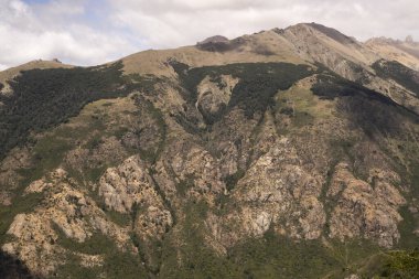 Bariloche, Patagonya 'daki dağlar ve yeşil orman manzarası. 