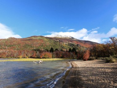 Falkner Gölü manzarası, kumlu plaj, sonbaharda dağlar ve orman, San Martn de los Andes, Patagonya, Arjantin. Ağaçların yapraklarında güzel sonbahar renkleri.