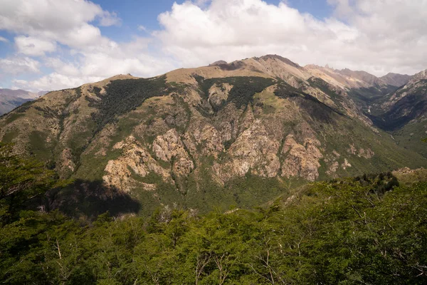 Bariloche, Patagonya 'daki dağlar ve yeşil orman manzarası. 