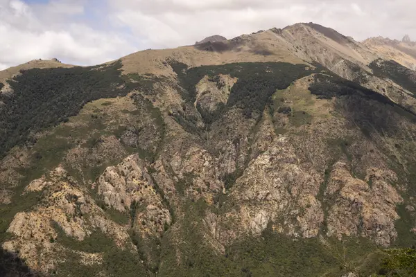 Bariloche, Patagonya 'daki dağlar ve yeşil orman manzarası. 