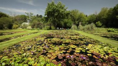 Bahçe düzenleme ve bahçe tasarımı. Parkta tropikal ve dayanıklı su zambakları yetiştiren büyük bir gölet manzarası. Yüzen yeşil yapraklar ve renkli çiçekler..