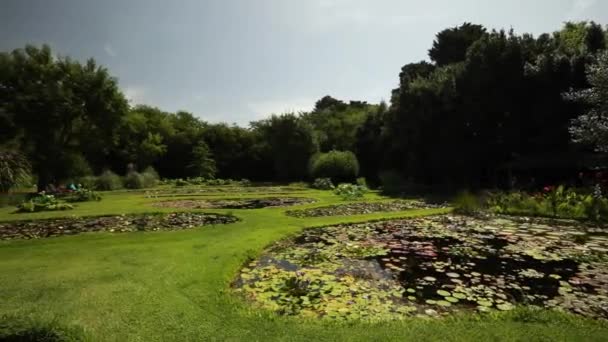 Krajina Botanika Mísa Zahrady Kde Pěstují Odolné Tropické Lekníny Obří — Stock video