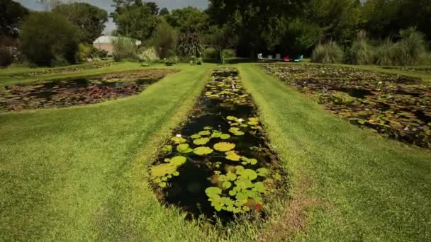 Krajina Zahradní Design Pohled Velký Rybník Rostoucí Tropické Odolné Lekníny — Stock video