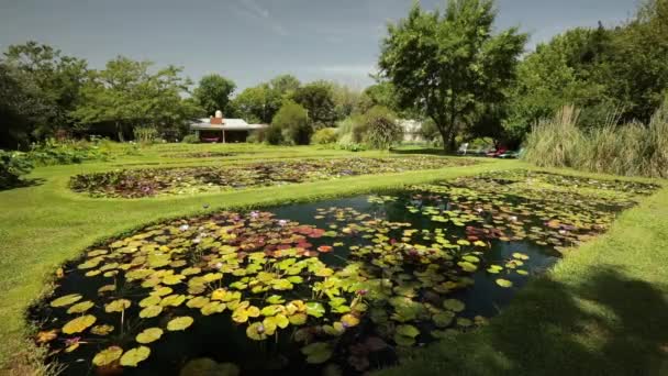 정원에서 열대성과 단단한 자라는 연못의 파노라마 — 비디오