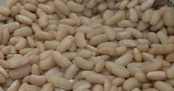 新鮮な調理されたステイミーな腎臓豆 — ストック動画