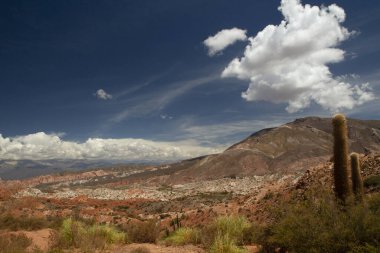 Kurak çöl manzarası, kumtaşı tepeleri ve bulutlu mavi gökyüzünün altında kurak bir ortam..