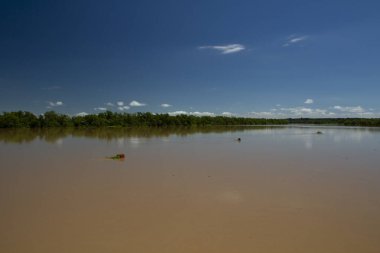 Açık mavi gökyüzünün altındaki Parana nehrinin panorama manzarası. Geniş nehir manzarası ve sudaki orman yansıması.