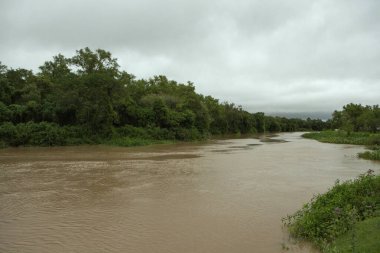 Pre Delta Ulusal Parkı, Entre Rios, Arjantin 'deki tropikal yağmur ormanları boyunca akan yemyeşil bitki örtüsüyle çevrili Parana nehri..