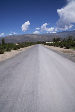Üzüm bağının karşısındaki yol manzarası. Arka plandaki And Dağları. 
