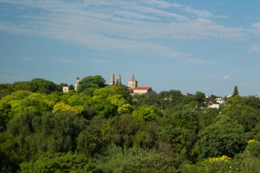 Güneşli bir günde yeşil orman. Ağaçlardan yükselen antik bir kilise kulesinin manzarası. Güzel yaprak dokusu ve deseni..