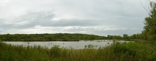 Environment preservation. Panorama view of the lake, reeds, and green forest in Pre Delta national Park in Entre Ros, Argentina.
