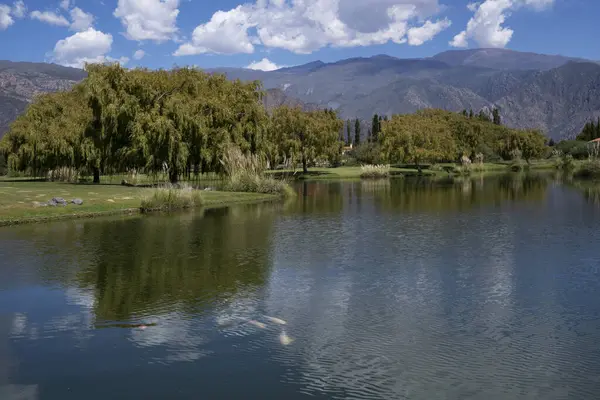 stock image View of the placid artificial lake, carp fishes, trees and mountains in the background, under a beautiful sky. 