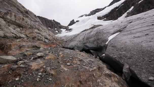 Alpenlandschap Uitzicht Gletsjer Vinciguerra Rotsachtige Bergtop Uitzicht Sneeuw Ijsveld Ondergrondse — Stockvideo