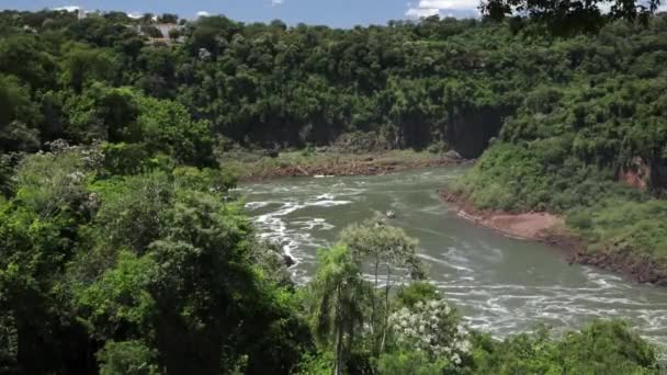 Tourismus Blick Auf Den Fluss Südamerikanischen Dschungel Die Grüne Und — Stockvideo