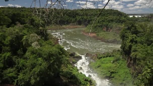 Turystyka Widok Rzekę Dżungli Ameryki Południowej Zielona Bujna Roślinność Lasów — Wideo stockowe