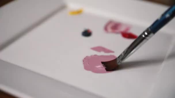 예술가가 그림을 준비가 되었습니다 페인트 브러쉬 페인트 — 비디오