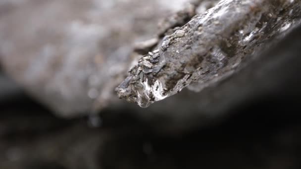 夏天的冰川融化 冰川冰洞墙壁缓慢融化成美丽水滴的闭合视图 — 图库视频影像