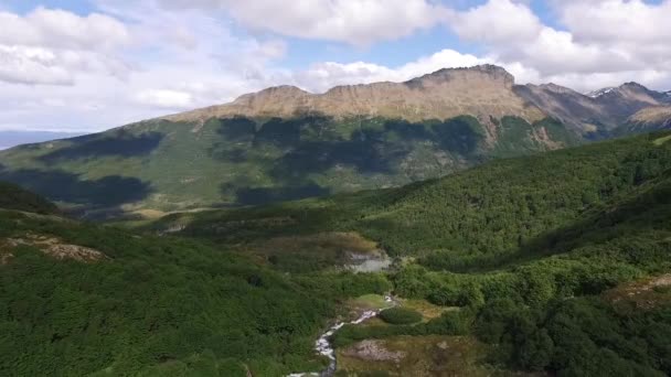 Naturmiljö Alpint Landskap Flygfoto Över Bäck Som Rinner Över Den — Stockvideo