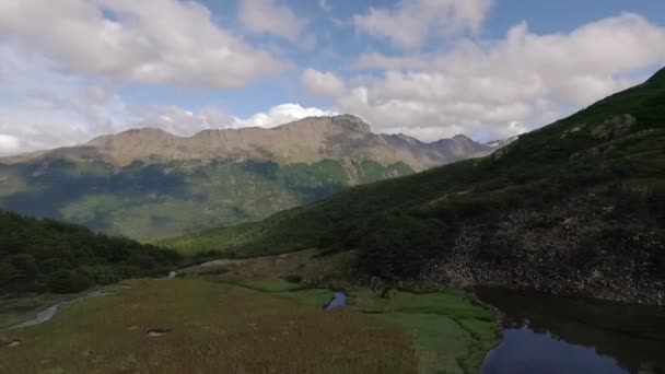 알파인 우수아니아 티에라 푸에고 파타고니아 아르헨티나의 안데스 산맥과 숲에서 흐르는 — 비디오
