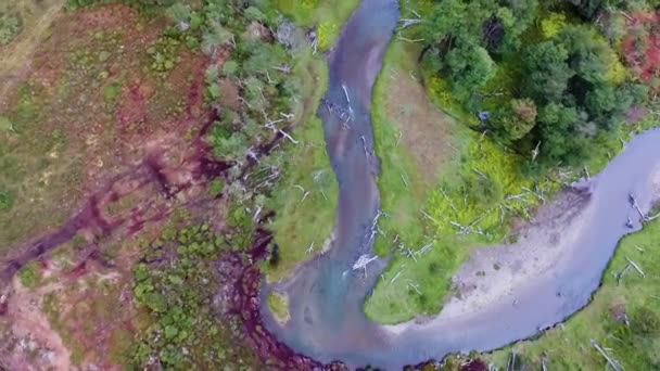 从空中俯瞰一条流过天然泥炭沼泽和森林的溪流 — 图库视频影像