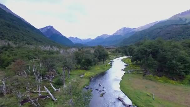Летом Лесу Вид Воздуха Чистую Реку Протекающую Через Лес Долину — стоковое видео