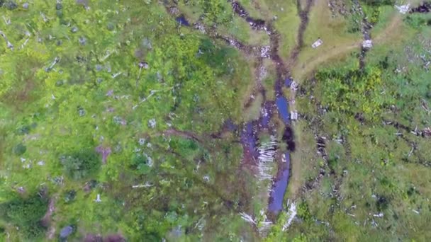 乡村风景 天然质感和图案 俯瞰着一条流过绿色草地和森林的小河 — 图库视频影像