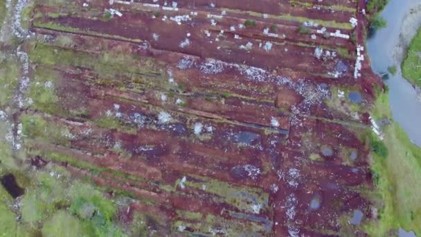 森林中一座废弃泥炭沼泽开采工厂的空中景观 — 图库视频影像