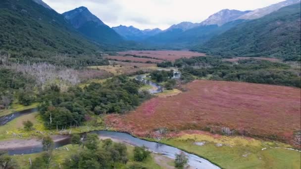 산으로 둘러싸인 계곡을 흐르는 Sphagnum Magellanicum Moss에 — 비디오