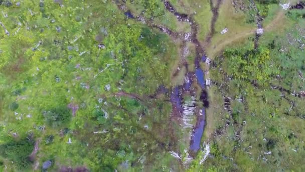 从空中俯瞰一条流过绿色草地和泥炭沼泽的小河 — 图库视频影像