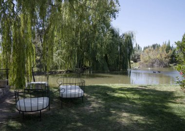 Huzurlu bir ortam. Bahçedeki gölet manzarası, açık hava bankları ve güneşli bir günde söğüt ağaçları..