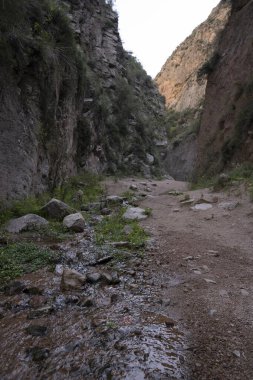 Yürüyüş yolunun yanı sıra kayalık kanyon boyunca akan derenin görüntüsü.