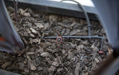 Otomatik sulama sistemi. Damla sulama ve bahçe bakımı için çömlek toprağına bağlı küçük plastik hortumun üst yakın görüntüsü.  