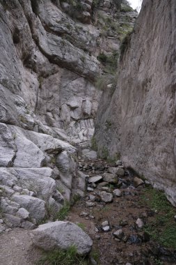 Los Berros vadisindeki taş geçitten akan derenin görüntüsü. 