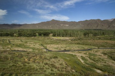 Idyllic manzara. Kırsal manzara, yeşil vadi manzarası, çayır, çayır ve arka planda dağlar.. 