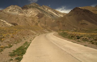 Yazın Alp manzarası. Dağlara giden altın çayırın karşısındaki yola bak.