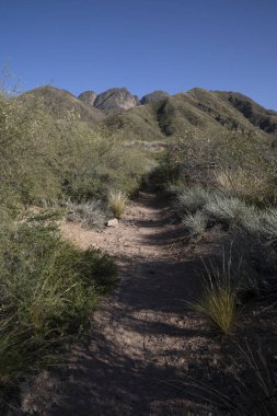Boş patika boyunca çayırlarda ve tepelerde yürürken.